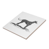  1800s Greyhound Dog Illustration - Honden Tegeltje (Zijkant)