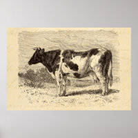 1800s Grote Nederlandse Koe Retro Koeien Geel