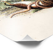 1800s Harvest Mouse Illustration Mice Foto Afdruk (Hoek)