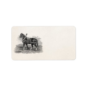 1800s Horse Agriculture Illustration Horse Etiket