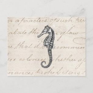 1800s Illustratie van het Hawaiiaanse Zee Paarden Briefkaart