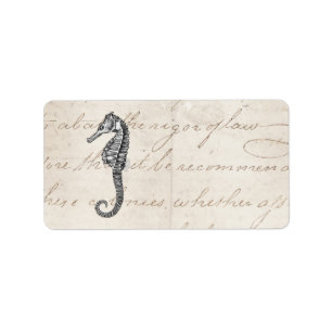  1800s Illustratie van het Hawaiiaanse Zee Paarden Etiket
