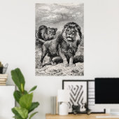  1800s Lion Lionesse Big Cat Illustration Poster (Thuiskantoor)