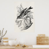 1800s Old Mountain Finch Bird Illustration Poster (Keuken)