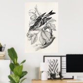 1800s Old Mountain Finch Bird Illustration Poster (Thuiskantoor)