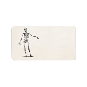  1800s Skelet Retro Anatomy Skeletons Etiket
