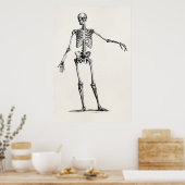  1800s Skelet Retro Anatomy Skeletons Poster (Keuken)