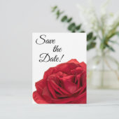 1822 - Rode rozen Briefkaart (Staand voorkant)