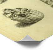 1824 Huisvesting Anatomy Print (Hoek)