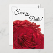 1824 - Rode rozen Briefkaart (Voorkant / Achterkant)