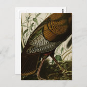 1825  Wilde Turkije Briefkaart (Voorkant / Achterkant)