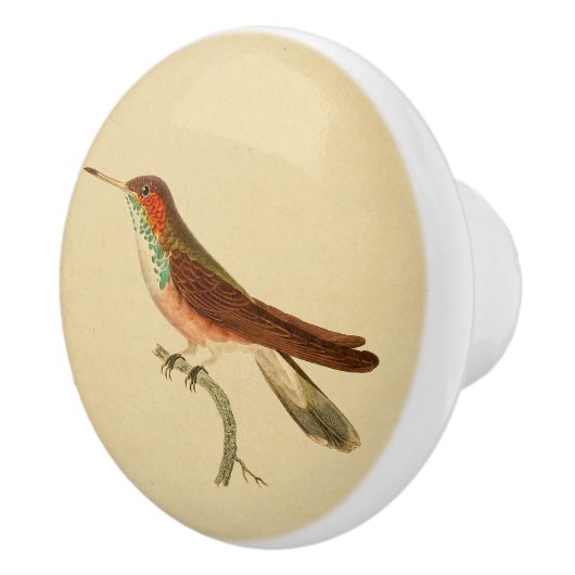  1830 Hummingbird Drab-knop Keramische Knop (Rechts)