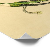 1830 Hummingbird Print Green Black (Hoek)