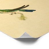  1830 Hummingbird Print Green Blue (Hoek)