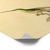 1830 Hummingbird Print Green Blue (Hoek)