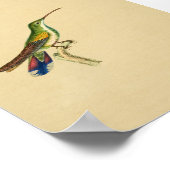  1830 Hummingbird Print Red Blue (Hoek)