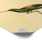  1830 Hummingbird Print Red Blue (Hoek)