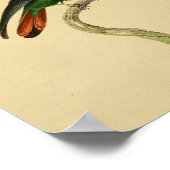 1830 Hummingbird Print Red Green (Hoek)