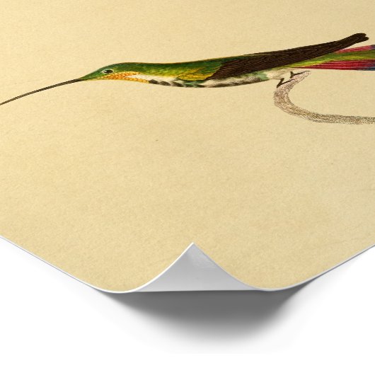 1830 Hummingbird Print Red Green (Hoek)