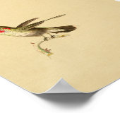  1830 Hummingbird Print Red Throated (Hoek)