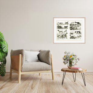 1830 races de chiens - Impression d'archives