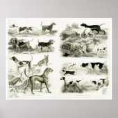 1830 races de chiens - Impression d'archives (Devant)