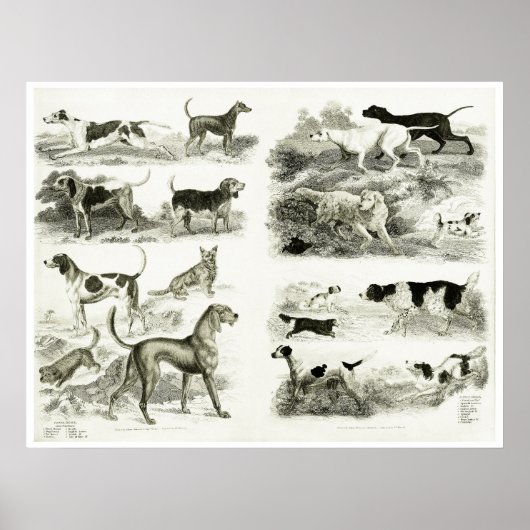 1830 races de chiens - Impression d'archives (Devant)