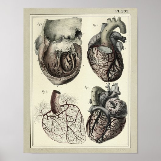 1831 Hart Arteries Anatomy Print (Voorkant)