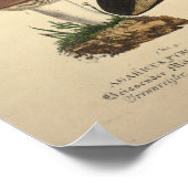 1831 paddenstoel Variëteit Groen bruin afdrukken Poster (Hoek)