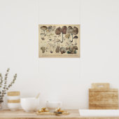  1831 paddenstoelvariëteit Bruin Pet afdrukken Poster (Keuken)