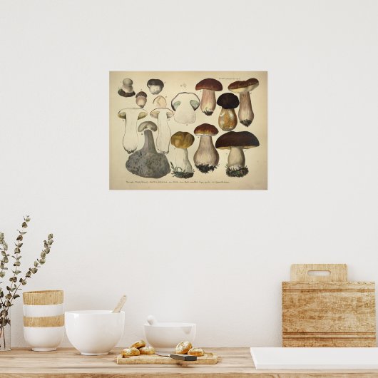  1831 paddenstoelvariëteit Bruin Pet afdrukken Poster (Keuken)