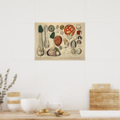  1831 paddenstoelvariëteit Groen rood afdrukken Poster (Keuken)