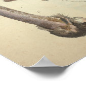 1831 paddenstoelvariëteit White Brown Print (Hoek)