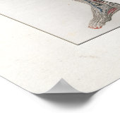 1833 Muscles Vintages Nerves Anatomie Poster (Coin)