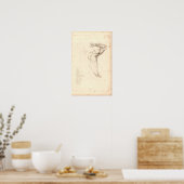 1833 Schouder- anatomie Afdrukken Poster (Keuken)