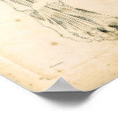 1833 Spierspier voor beenanatomie Afdrukken Poster (Hoek)