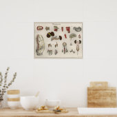 1837  Poster van de anatomie van de interne organe (Keuken)