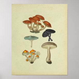 1841 Blauwe Gele Paddenstoelen Kunst Afdrukken Poster