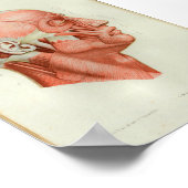 1844  anatomie Afdrukspieren gezicht Poster (Hoek)