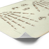 1844  Botten met anatomie Afdrukhand Poster (Hoek)