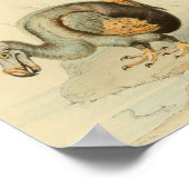 1848 Dodo Extinct Bird Print (Hoek)