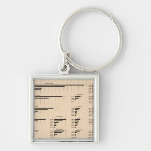 184 Value-producten, statussen 1850-1900 Sleutelhanger