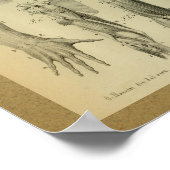 1850 anatomie Afdrukschouderspieren Poster (Hoek)