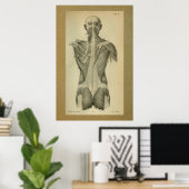 1850 anatomie Afdrukspieren Poster (Thuiskantoor)