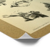 1850  anatomie printruggenwervel poster (Hoek)