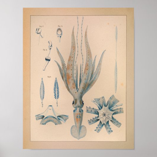 1851 kleureninktvis afdrukken poster (Voorkant)
