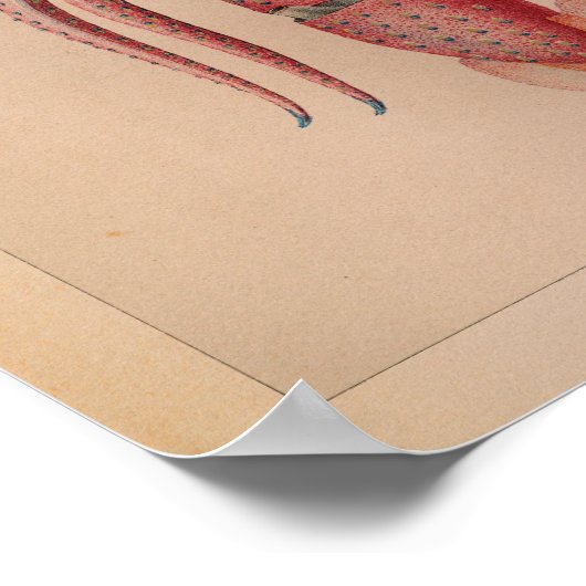 1851  kleureninktvis - Rode Oceaan afdrukken Poster (Hoek)