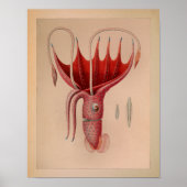 1851  kleureninktvis - Rode Oceaan afdrukken Poster (Voorkant)