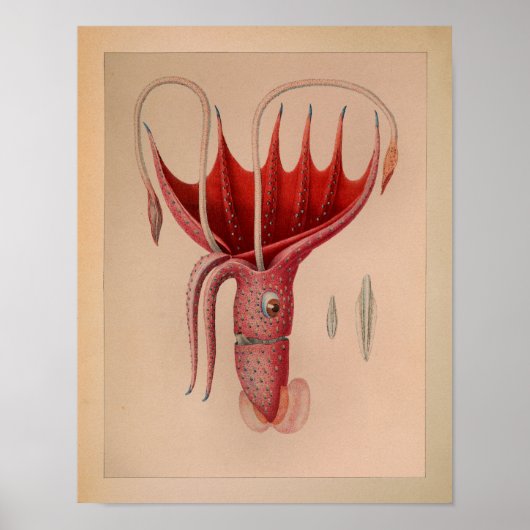 1851  kleureninktvis - Rode Oceaan afdrukken Poster (Voorkant)