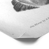 1854  anatomie Rugspieren B/W afdrukken Poster (Hoek)